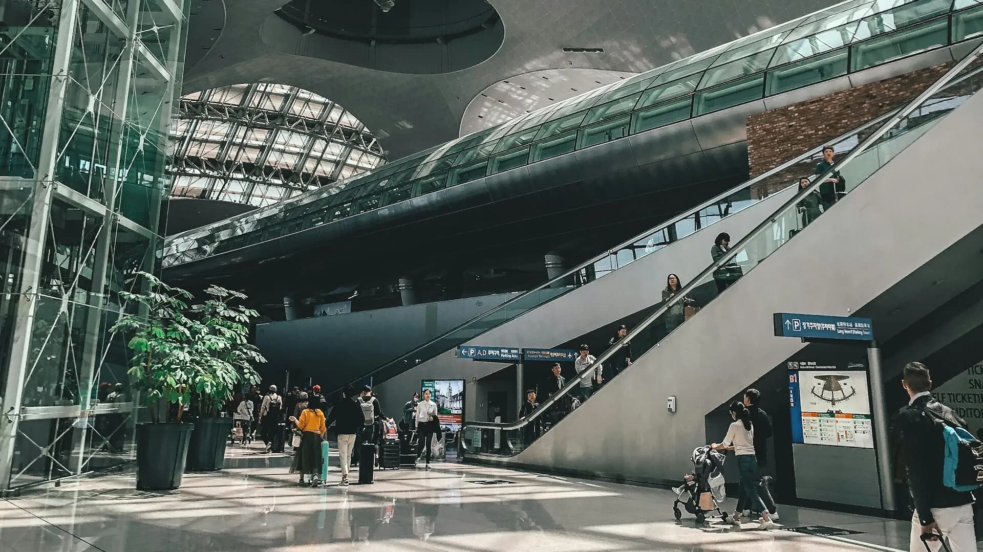 Pre-Departure Checklist & Entering Japan