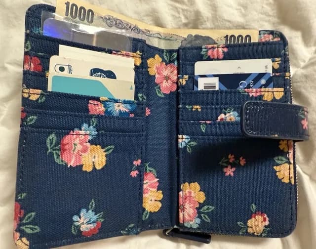 Japan travel wallet