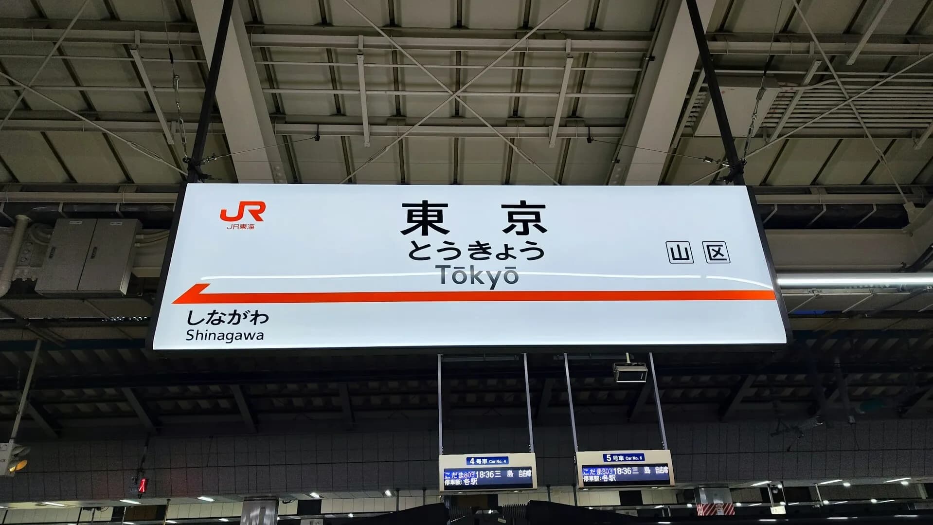 Japan limited express ticket