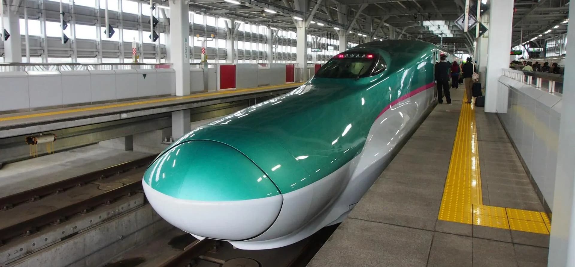 Shinkansen and kingfisher