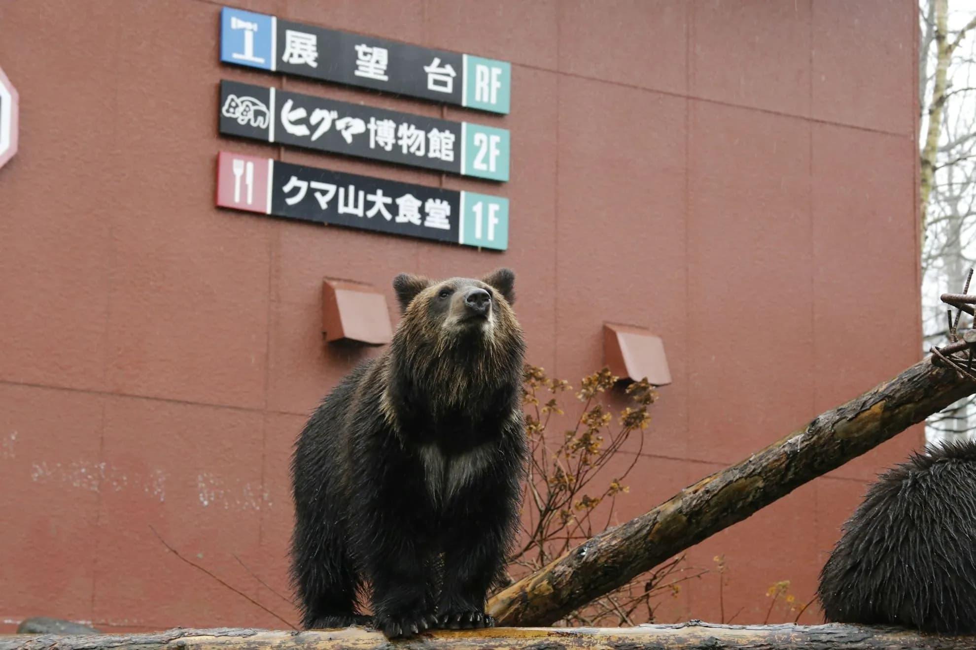 Noboribetsu Bear Park