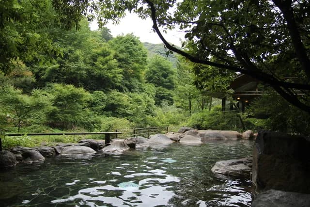 Ureshino Shiiba-no-yu