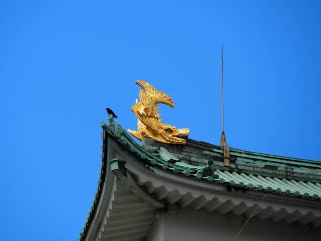 Nagoya Castle kinshachi