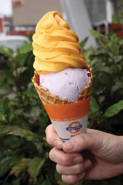Blue Seal ice cream