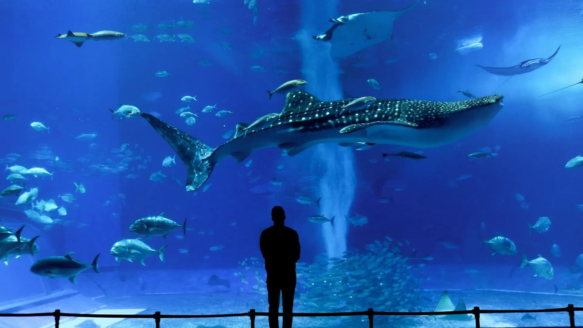 Okinawa Travel Planning