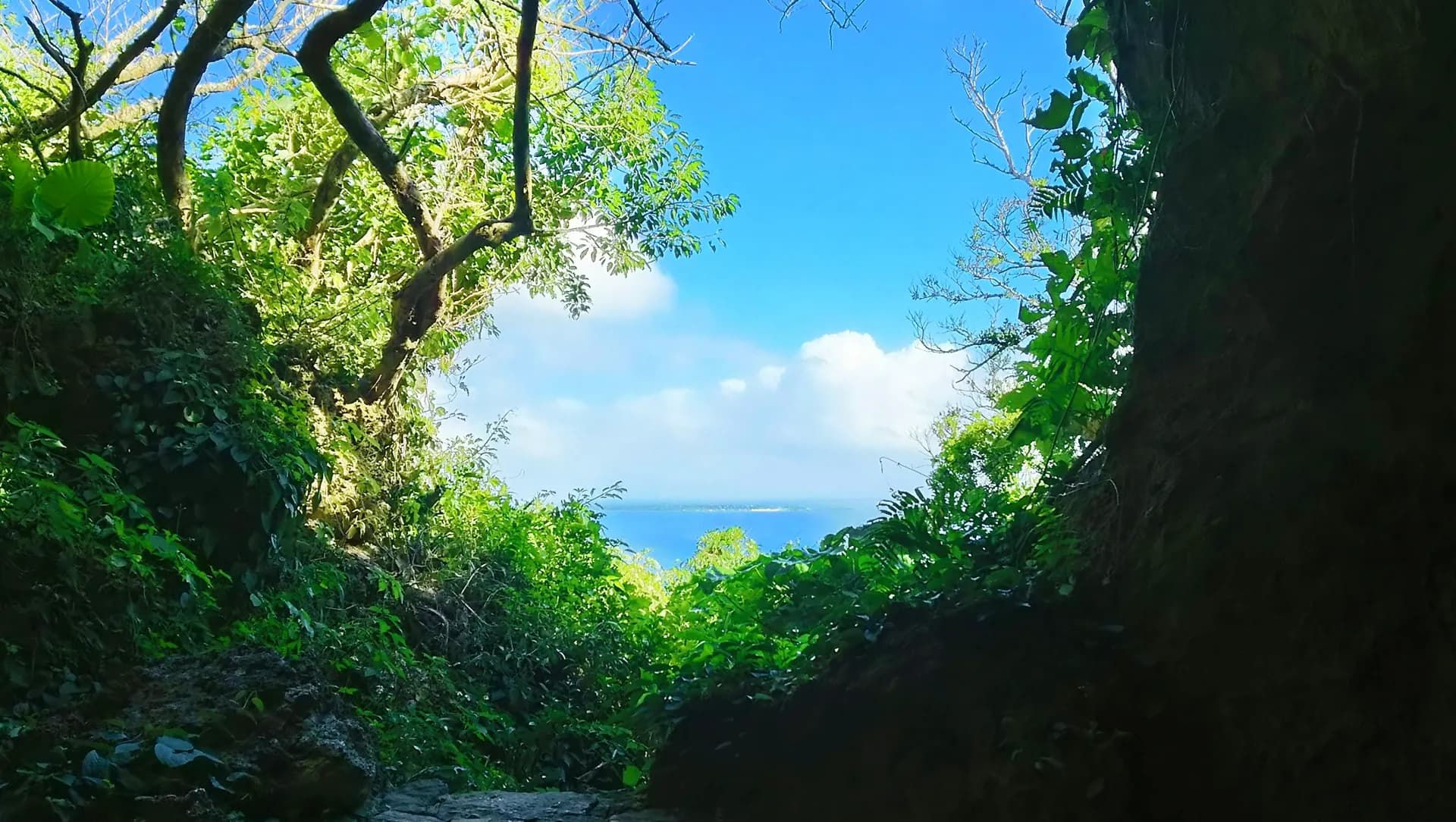 Southern Area Overview