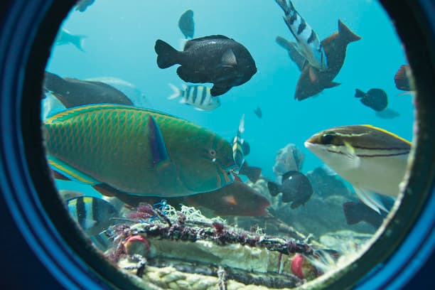 Underwater Observatory