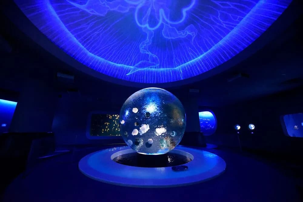 Shin-Enoshima Aquarium