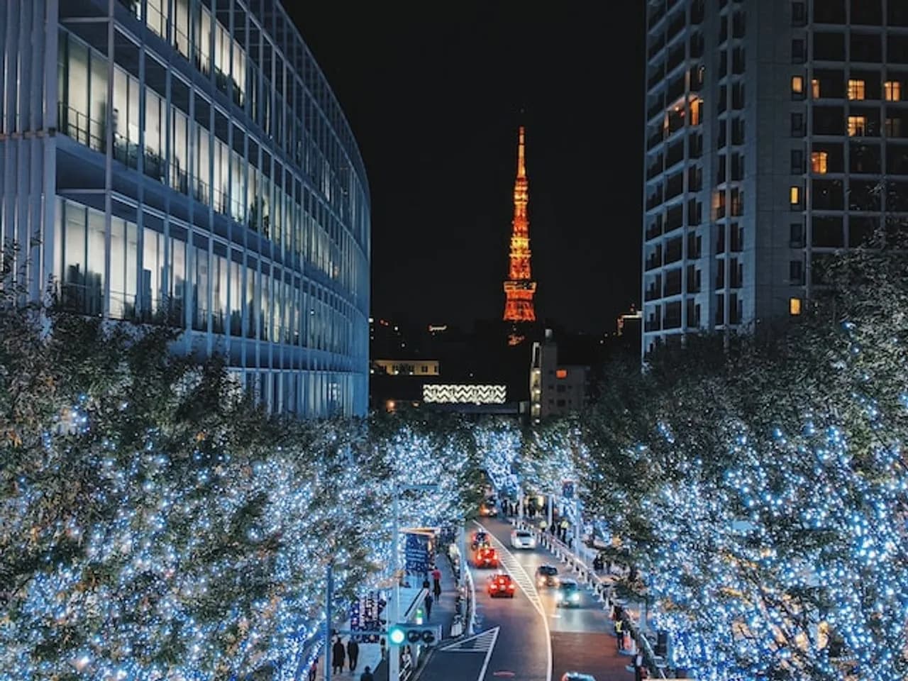 Roppongi illumination