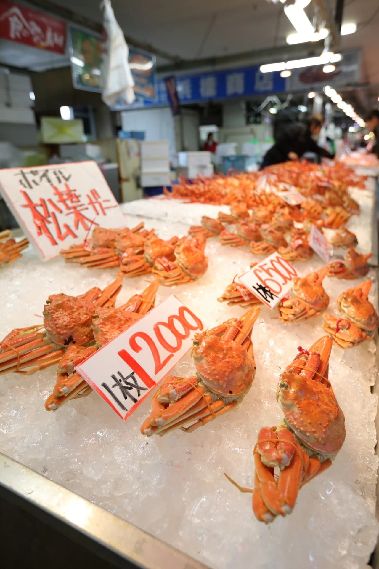 Sakaiminato Snow Crab