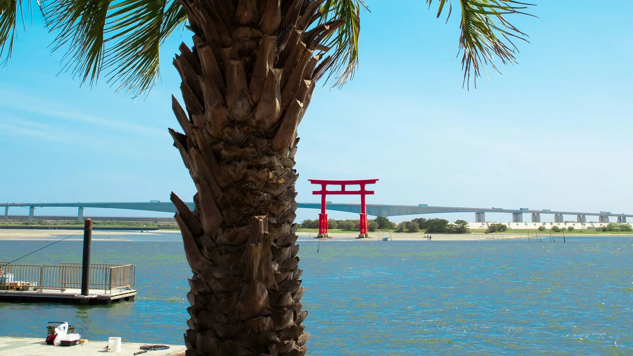 Hamamatsu Travel Itinerary Guide: Lake Hamana, Hamamatsu Castle, and Nukumori no Mori